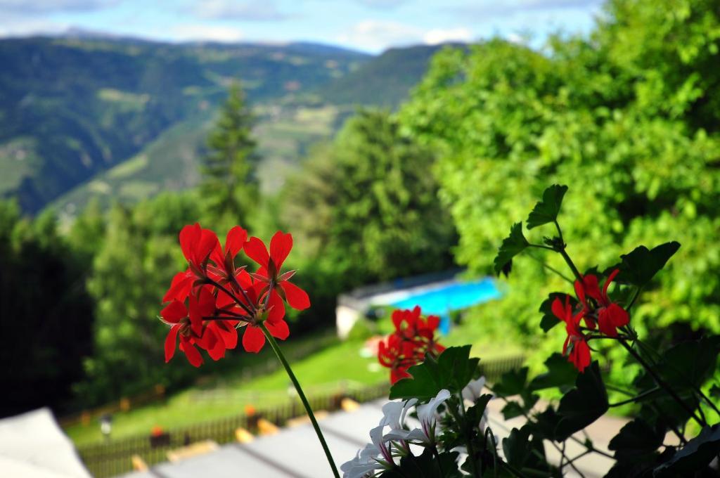 Bad St Isidor Hotel Bozen Kamer foto